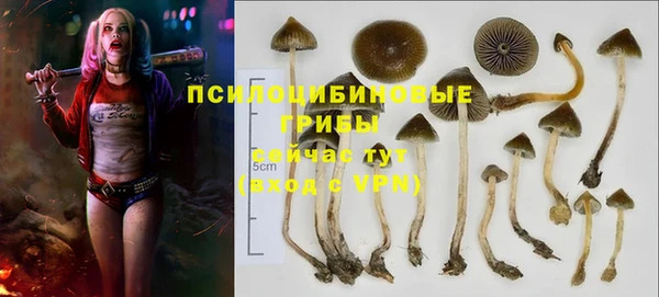 тгк Белокуриха