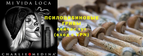 тгк Белокуриха