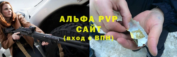 тгк Белокуриха