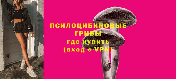 тгк Белокуриха