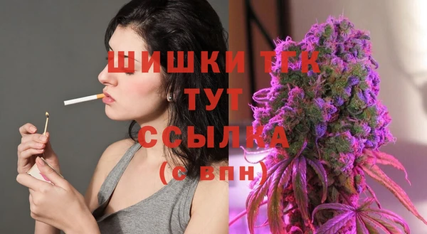 тгк Белокуриха